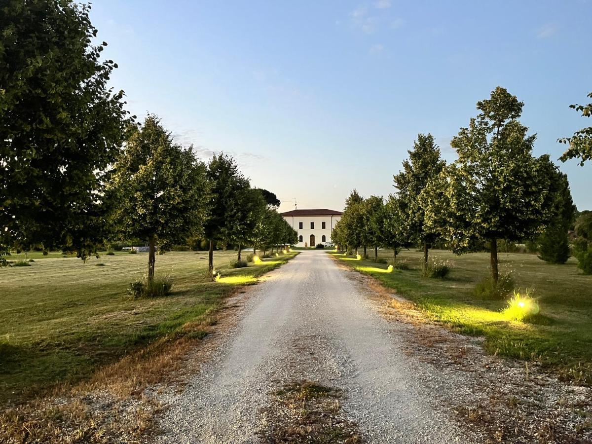 Villa Archi Фаенца Екстер'єр фото