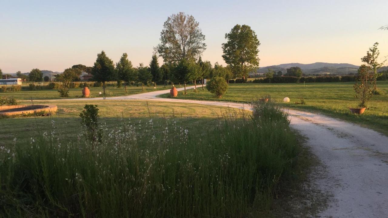 Villa Archi Фаенца Екстер'єр фото